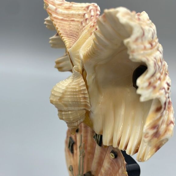 Vintage Owl Shell Art Clock Handmade Kitsch Souvenir 1970s - Picture 11 of 16